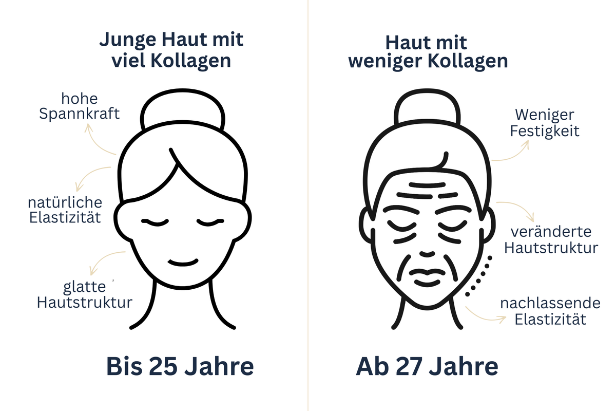 Wirkung_Haut_Kollagen