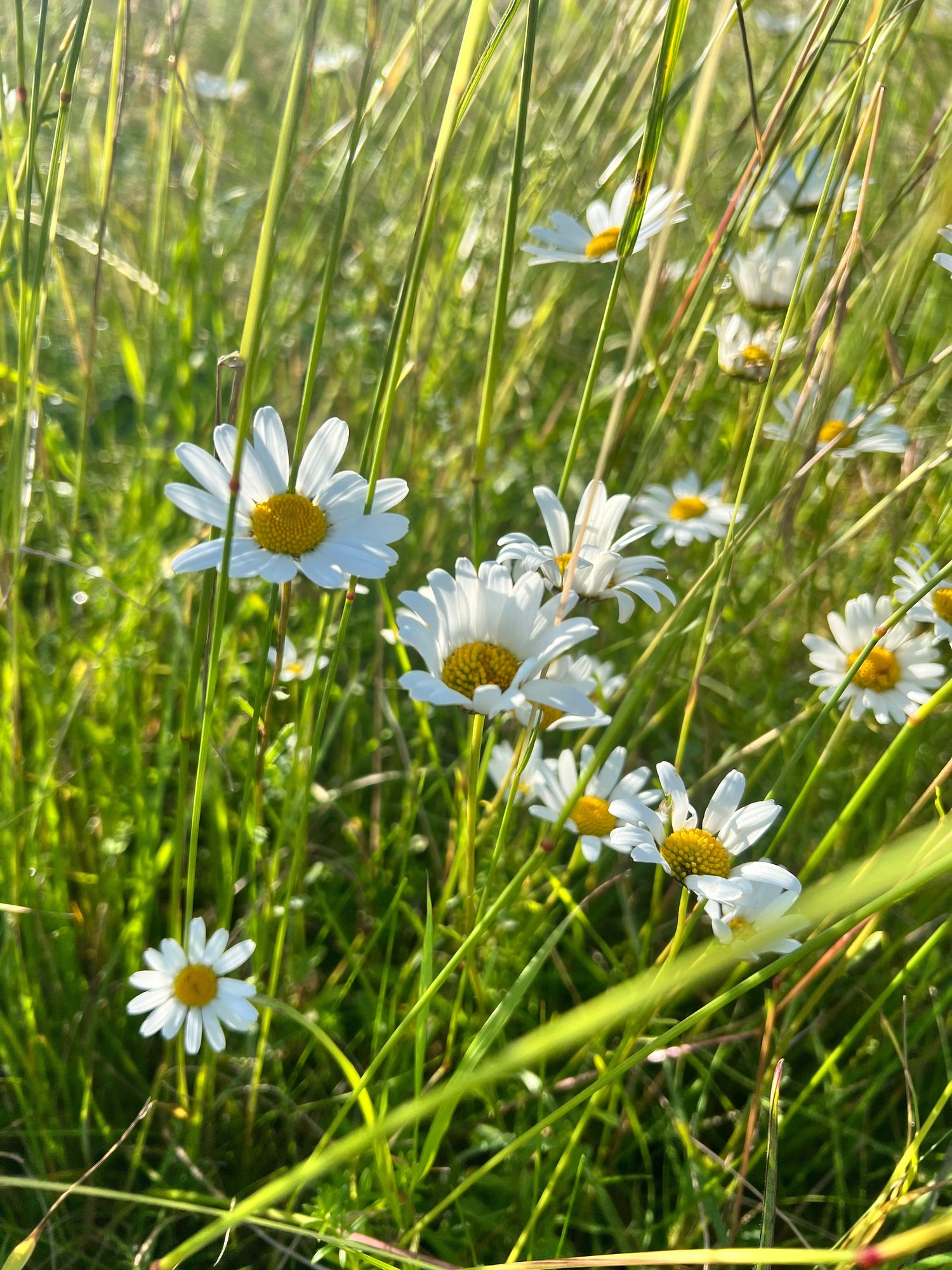 Selbstfürsorge Tipps & Wohlbefinden steigern
