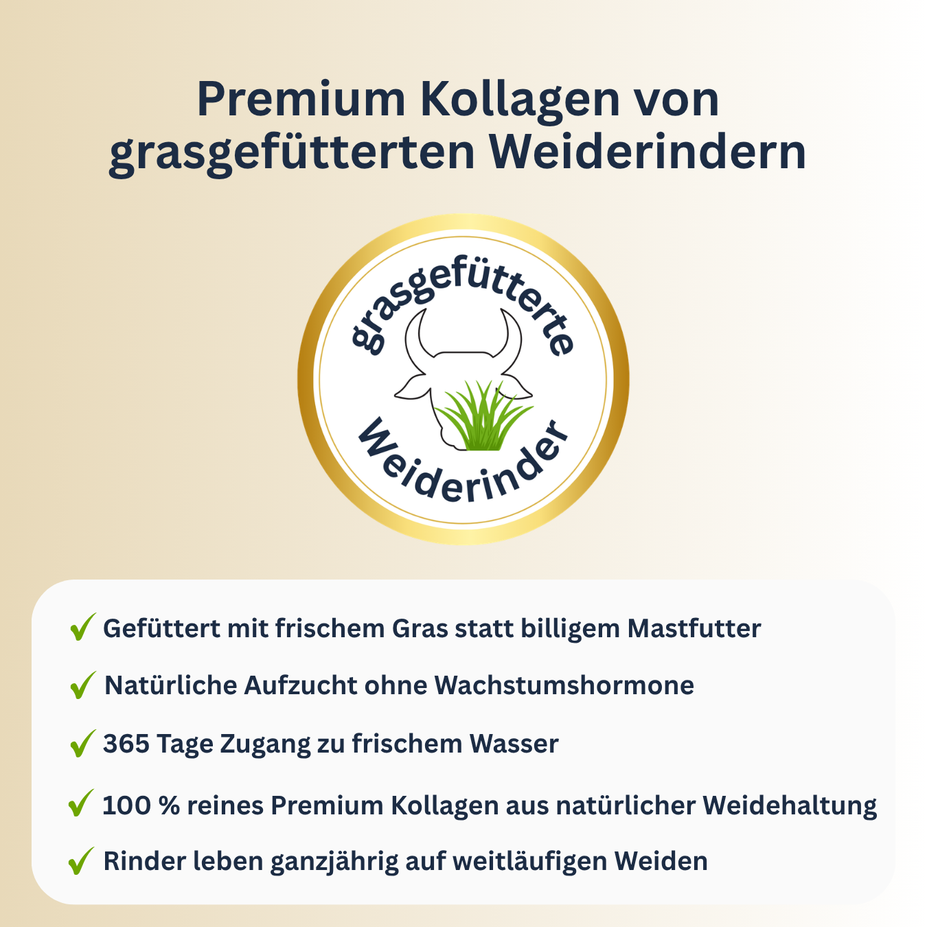 NuVibe Kollagen von grasgefütterten Weiderindern