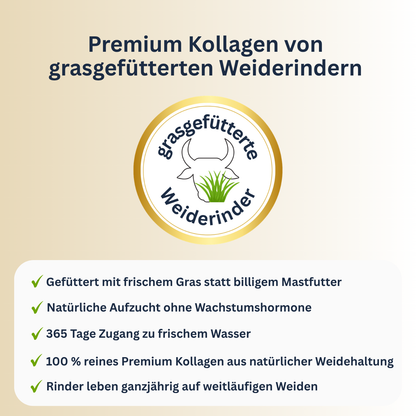 NuVibe Kollagen von grasgefütterten Weiderindern