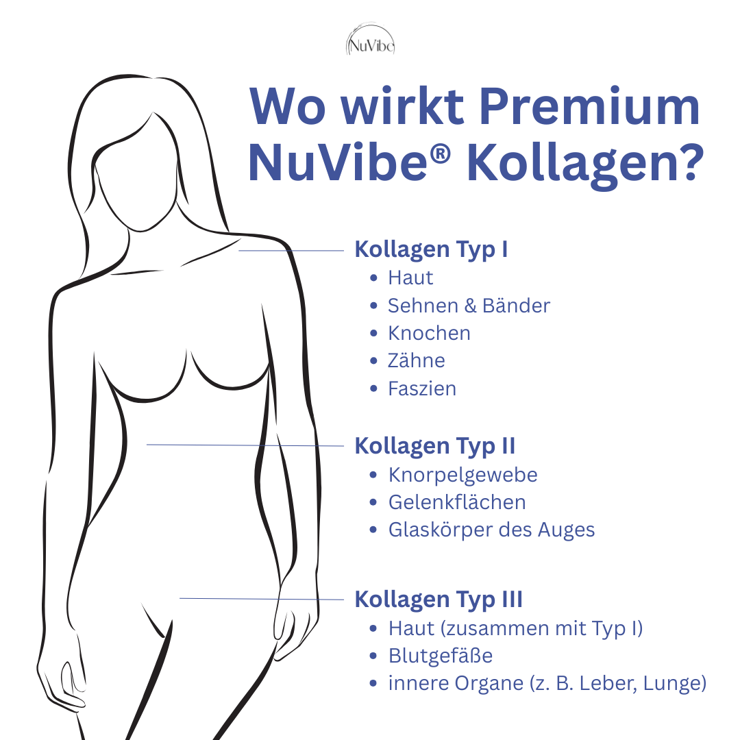 Wirkung NuVibe Kollagen pulver